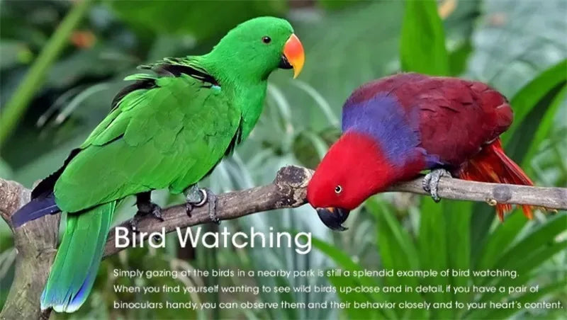 Binoculars 80X80 High Magnification Professional Binoculars HD Portable Binoculars for Hunting Outdoor Camping Trips